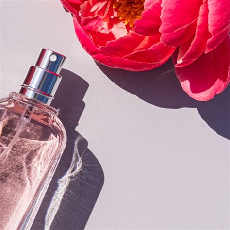 loris parfum düren